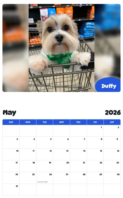 2026 - 2027 Duffy - Pawidols Pet Calendar