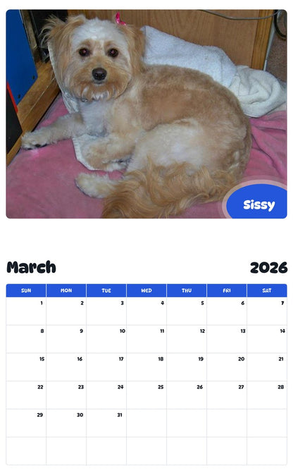 November 2025 - October 2026 Sissy - Pawidols Pet Calendar