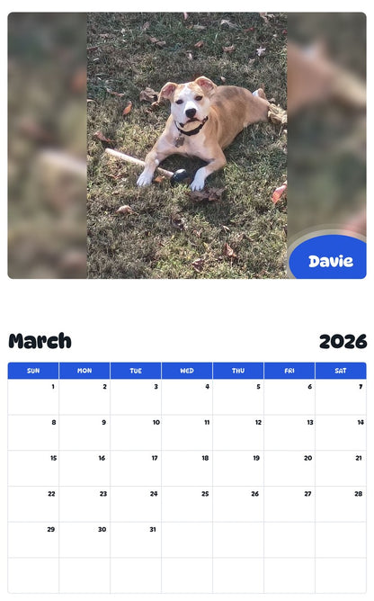 November 2025 - October 2026 Davie - Pawidols Pet Calendar