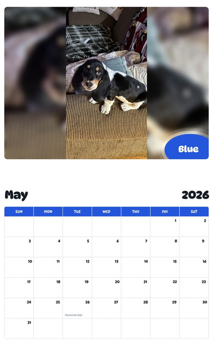 2026 - 2027 Blue - Pawidols Pet Calendar