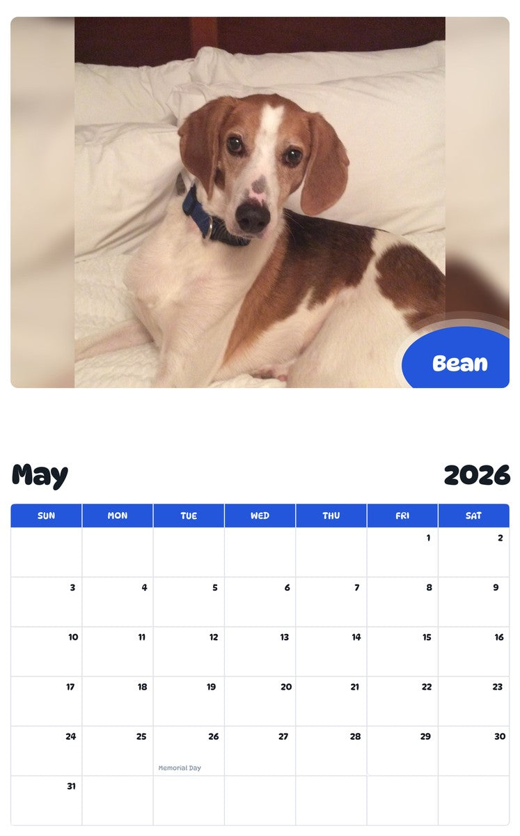 2026 - 2027 Bean - Pawidols Pet Calendar
