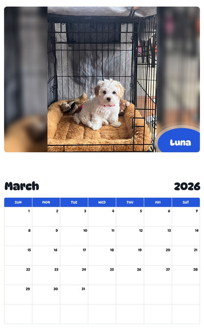 November 2025 - October 2026 Luna - Pawidols Pet Calendar
