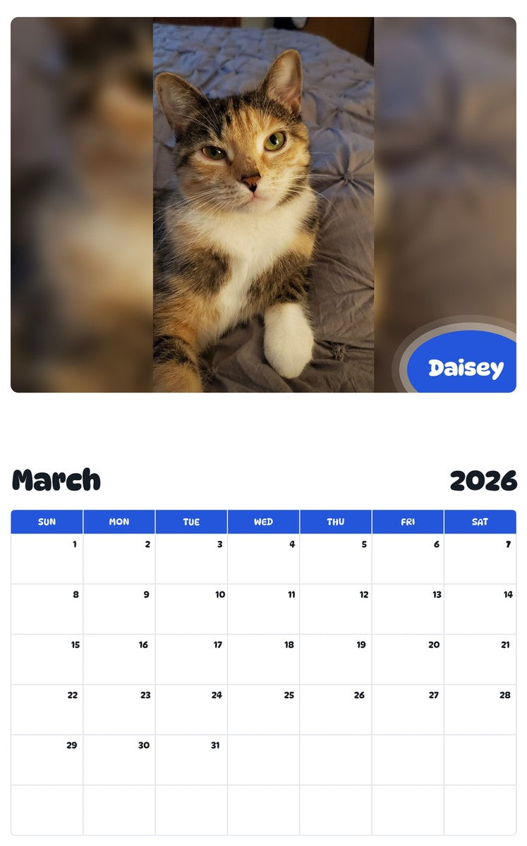 November 2025 - October 2026 Daisey - Pawidols Pet Calendar