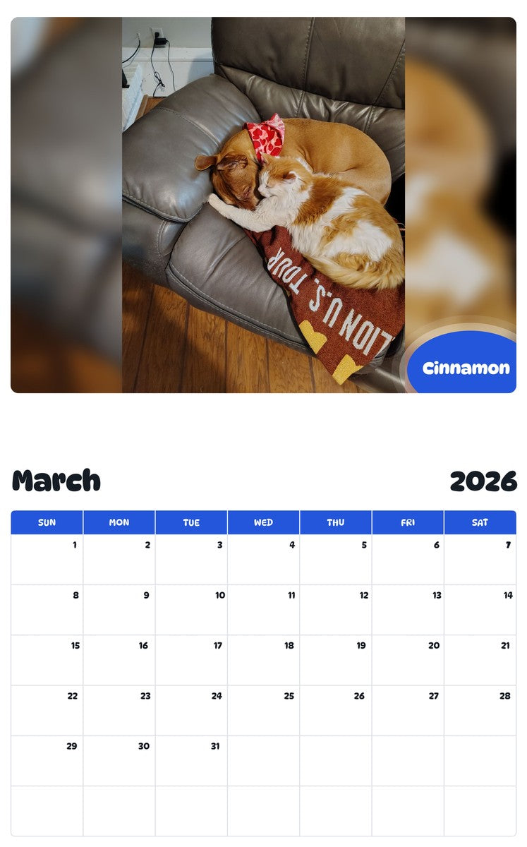 November 2025 - October 2026 Cinnamon - Pawidols Pet Calendar