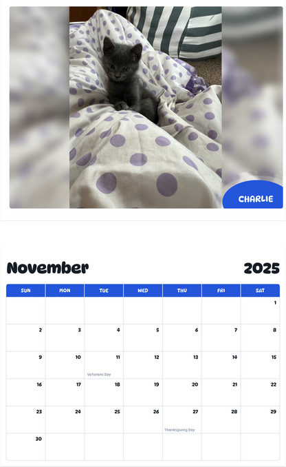July 2025 - June 2026 Charlie - Pawidols Pet Calendar