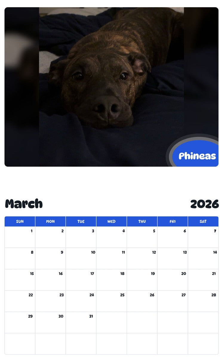 November 2025 - October 2026 Phineas - Pawidols Pet Calendar