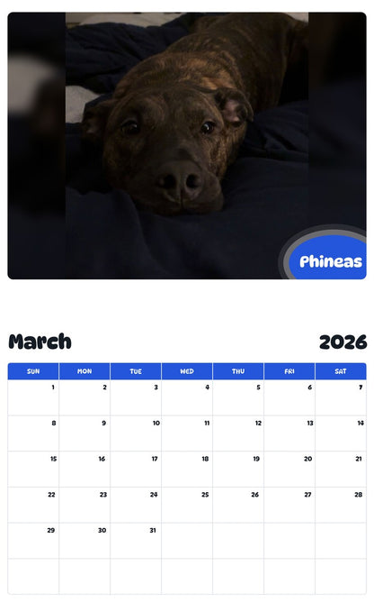 November 2025 - October 2026 Phineas - Pawidols Pet Calendar