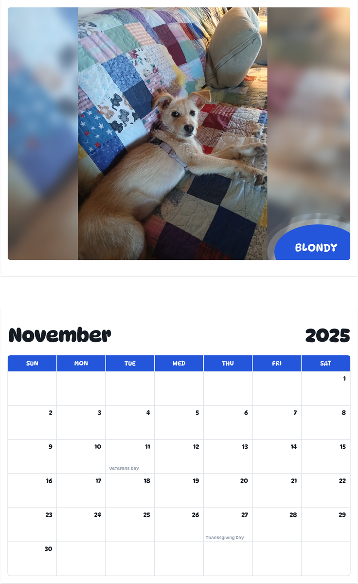 July 2025 - June 2026 Blondy - Pawidols Pet Calendar
