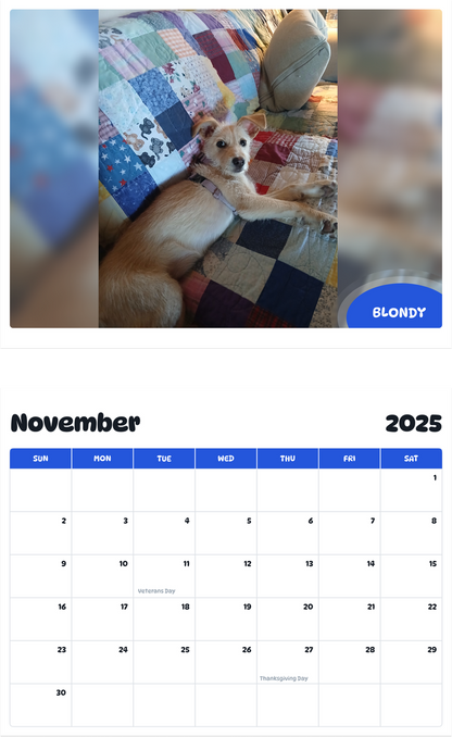 July 2025 - June 2026 Blondy - Pawidols Pet Calendar