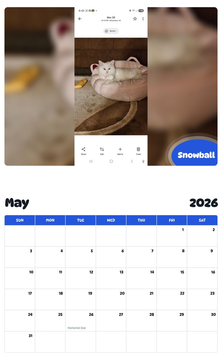 2026 - 2027 Snowball - Pawidols Pet Calendar