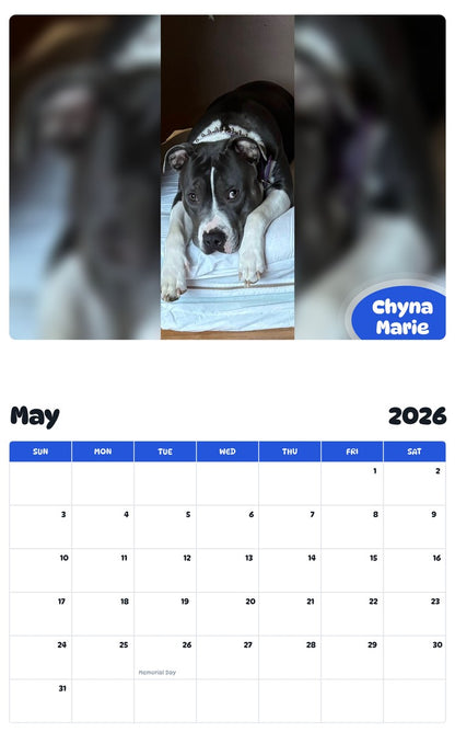 2026 - 2027 Chyna Marie - Pawidols Pet Calendar