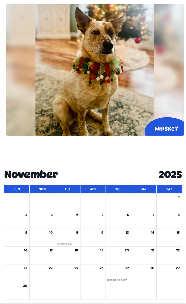 July 2025 - June 2026 Whiskey - Pawidols Pet Calendar