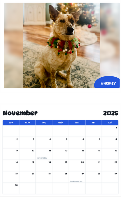 July 2025 - June 2026 Whiskey - Pawidols Pet Calendar