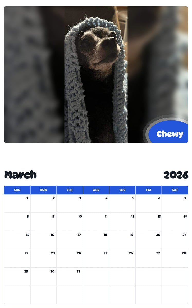 November 2025 - October 2026 Chewy - Pawidols Pet Calendar
