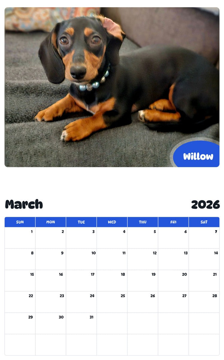 November 2025 - October 2026 Willow - Pawidols Pet Calendar