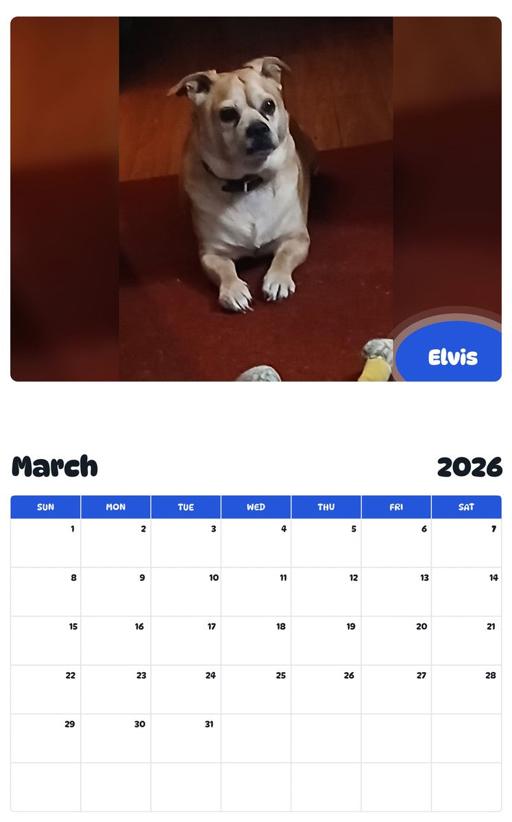 November 2025 - October 2026 Elvis - Pawidols Pet Calendar