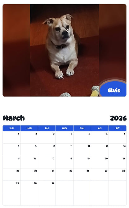 November 2025 - October 2026 Elvis - Pawidols Pet Calendar