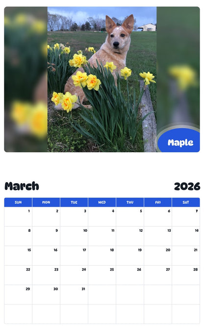November 2025 - October 2026 Maple - Pawidols Pet Calendar