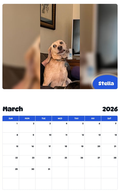 November 2025 - October 2026 Stella - Pawidols Pet Calendar