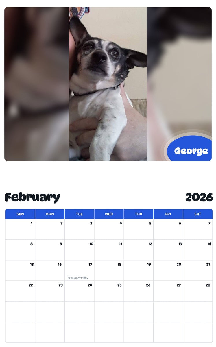 November 2025 - October 2026 George - Pawidols Pet Calendar
