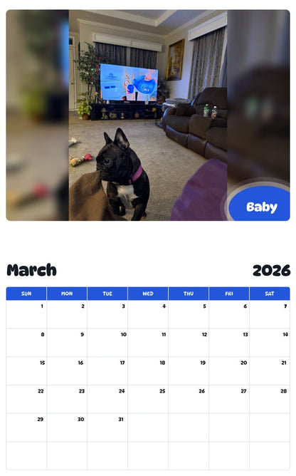 November 2025 - October 2026 Baby - Pawidols Pet Calendar