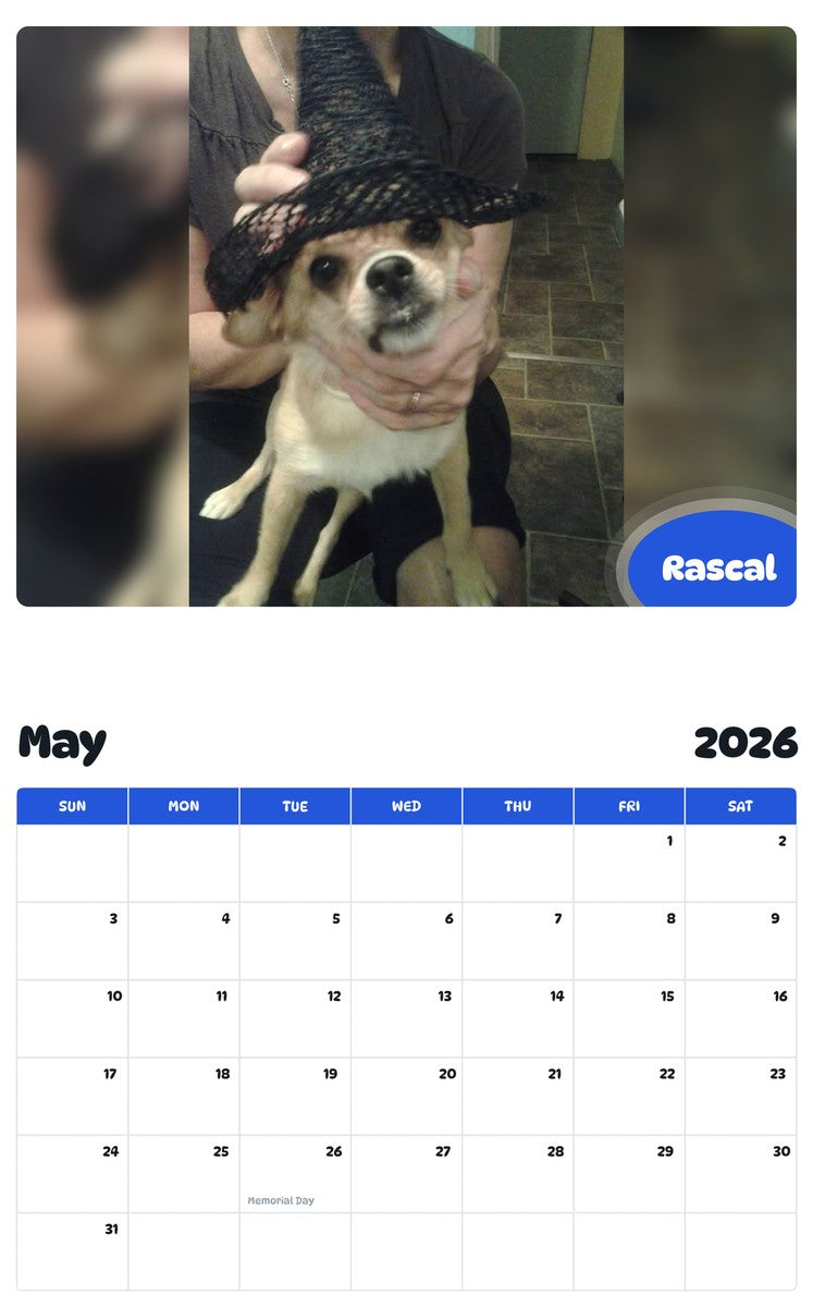 2026 - 2027 Rascal - Pawidols Pet Calendar