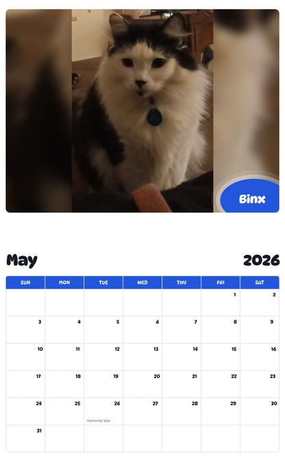 2026 - 2027 Binx - Pawidols Pet Calendar