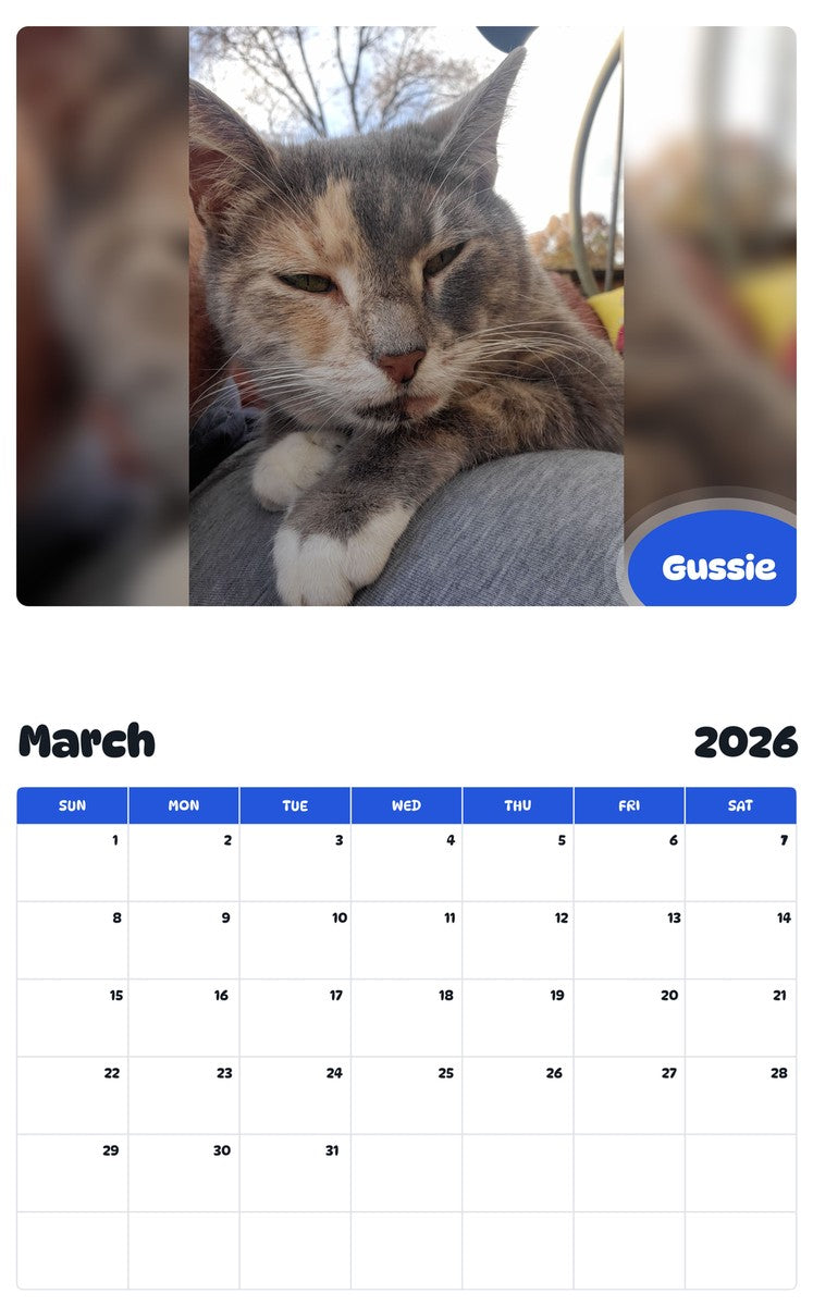 November 2025 - October 2026 Gussie - Pawidols Pet Calendar
