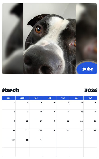 November 2025 - October 2026 Duke - Pawidols Pet Calendar