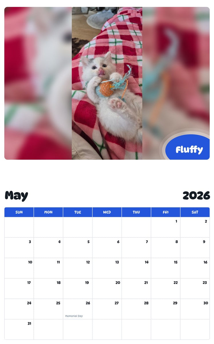 2026 - 2027 Fluffy - Pawidols Pet Calendar