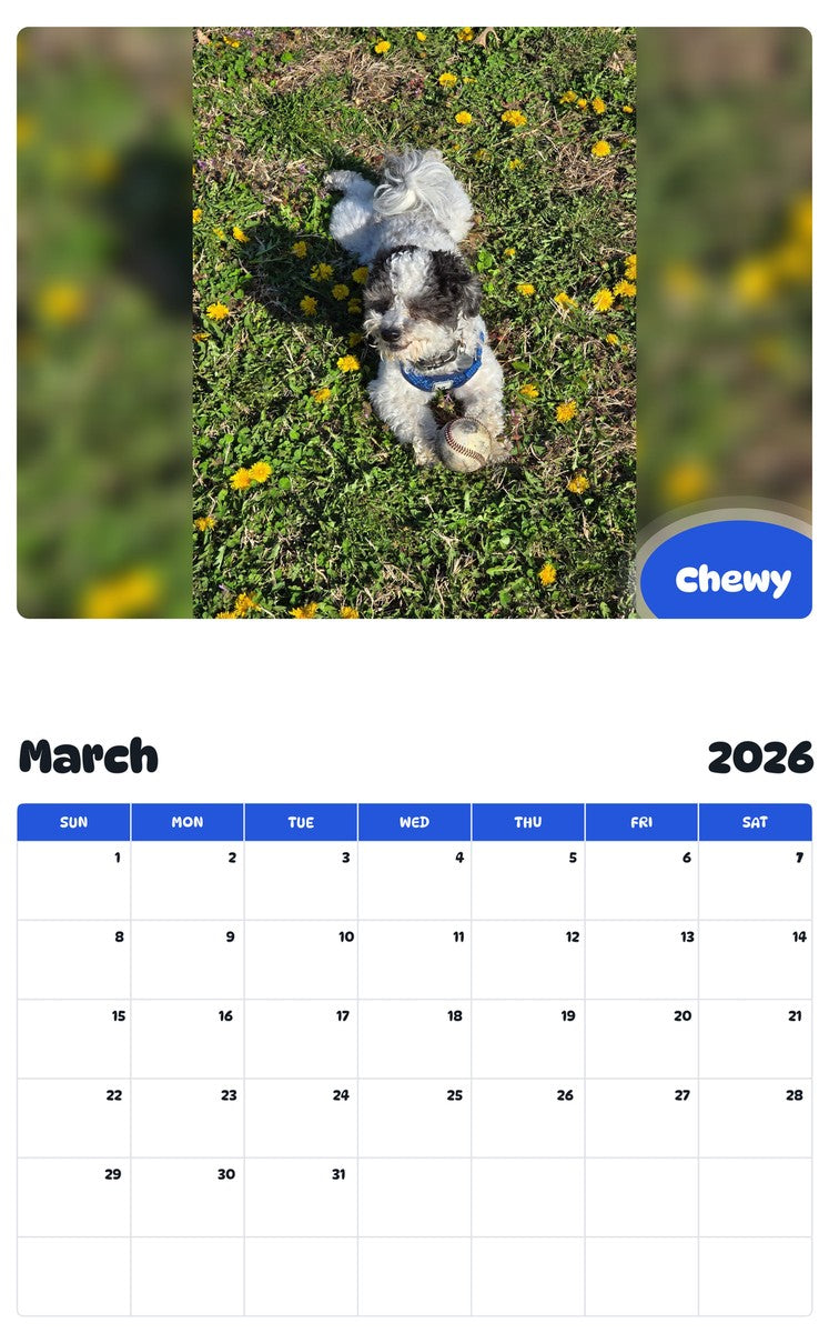 November 2025 - October 2026 Chewy - Pawidols Pet Calendar