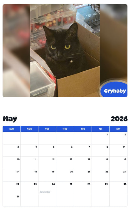 2026 - 2027 Crybaby - Pawidols Pet Calendar