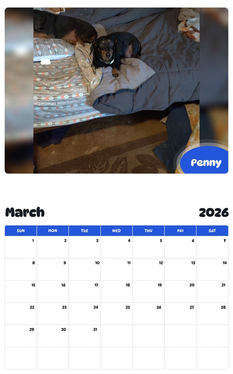 November 2025 - October 2026 Penny - Pawidols Pet Calendar