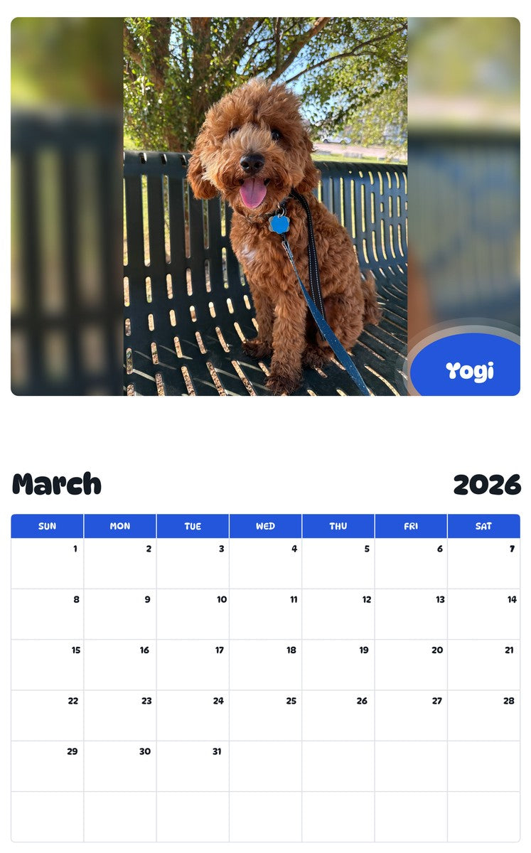 November 2025 - October 2026 Yogi - Pawidols Pet Calendar