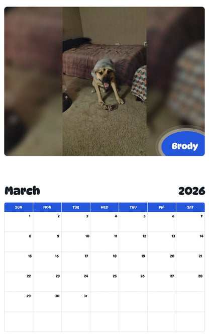 November 2025 - October 2026 Brody - Pawidols Pet Calendar