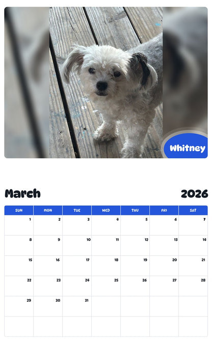 November 2025 - October 2026 Whitney - Pawidols Pet Calendar