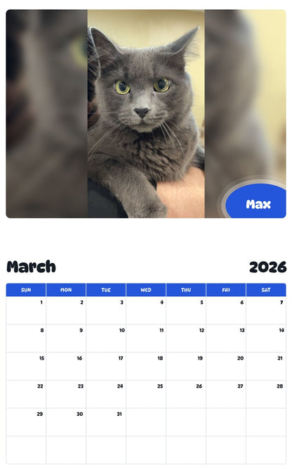 November 2025 - October 2026 Max - Pawidols Pet Calendar