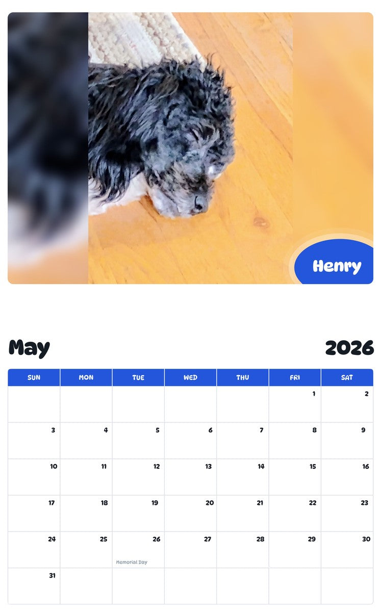2026 - 2027 Henry - Pawidols Pet Calendar