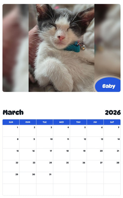 November 2025 - October 2026 Baby - Pawidols Pet Calendar