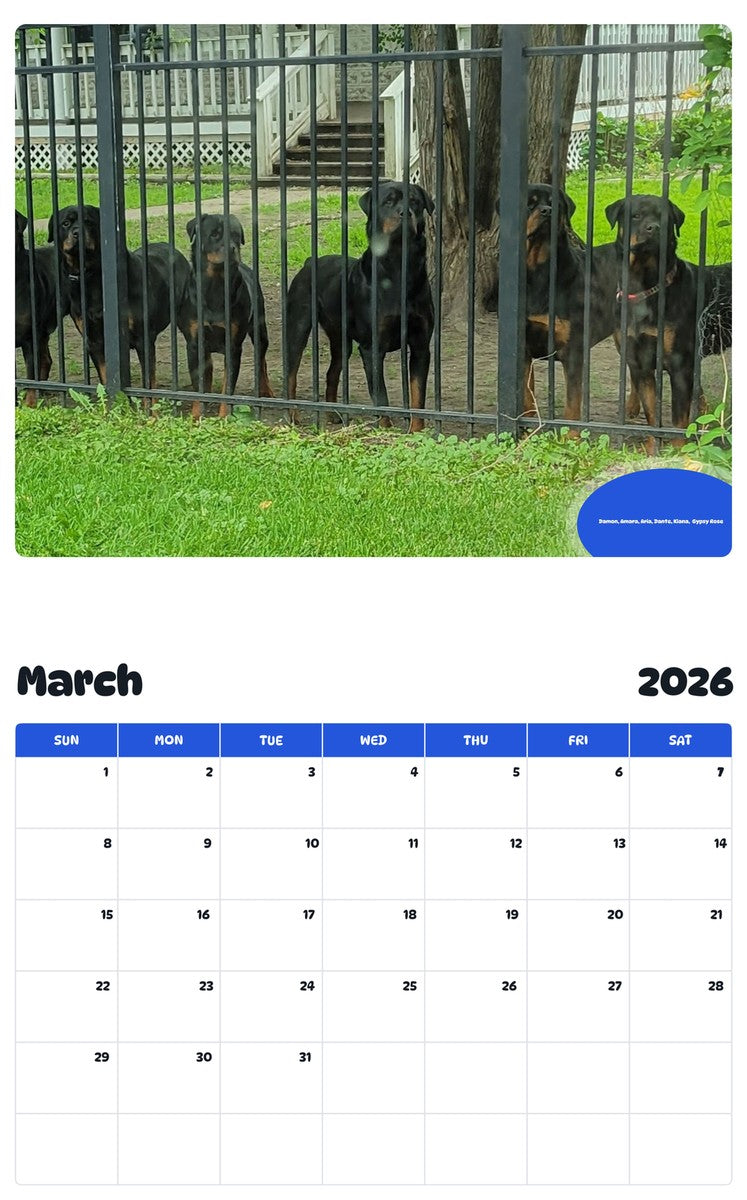 November 2025 - October 2026 Damon, Amara, Aria, Dante, Kiana,  Gypsy Rose - Pawidols Pet Calendar