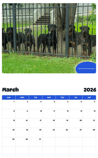 November 2025 - October 2026 Damon, Amara, Aria, Dante, Kiana,  Gypsy Rose - Pawidols Pet Calendar