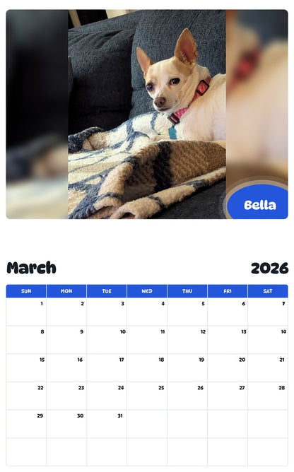 November 2025 - October 2026 Bella - Pawidols Pet Calendar