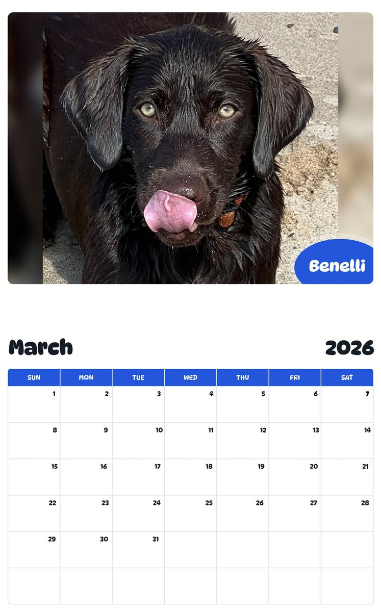 November 2025 - October 2026 Benelli - Pawidols Pet Calendar