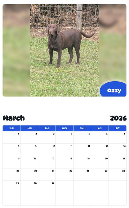November 2025 - October 2026 Ozzy - Pawidols Pet Calendar