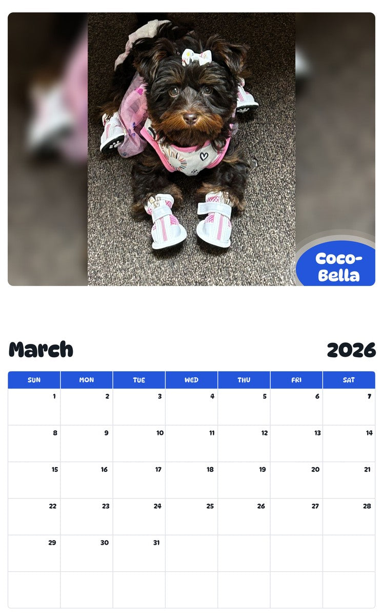 November 2025 - October 2026 Coco-Bella - Pawidols Pet Calendar