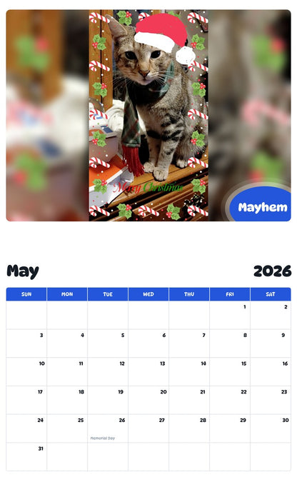 2026 - 2027 Mayhem - Pawidols Pet Calendar