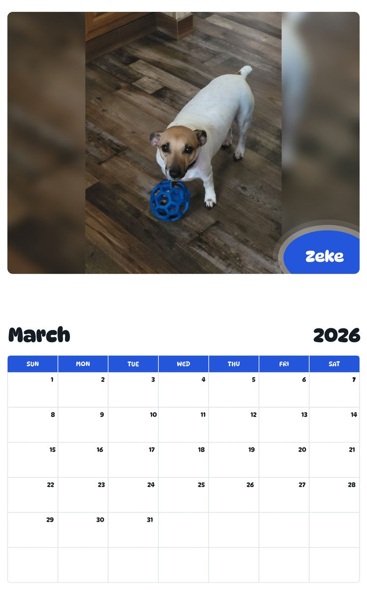 November 2025 - October 2026 Zeke - Pawidols Pet Calendar