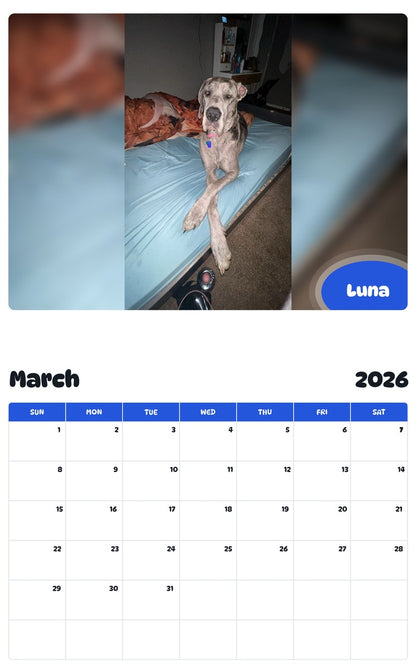 November 2025 - October 2026 Luna - Pawidols Pet Calendar