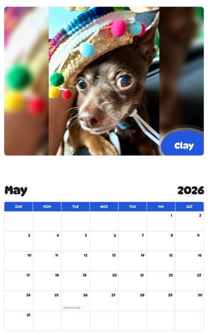 2026 - 2027 Clay - Pawidols Pet Calendar