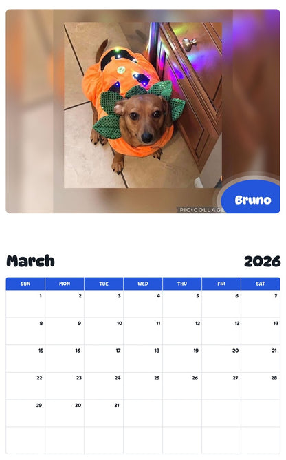 November 2025 - October 2026 Bruno - Pawidols Pet Calendar